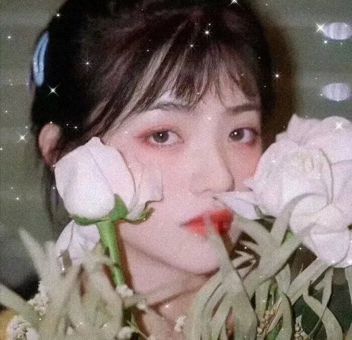 壮士的梦封面